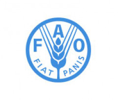 FAO